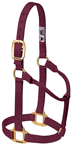 Licol Weaver Cuir non réglable idéal pour la vie quotidienne aux écuries
