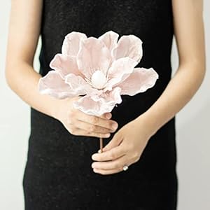 KI Store Pastel Pink Christmas Tree Poinsettia Flower Decorations 6pcs Velvet Magnolia Artificial Floral Picks for Christmas Tree Decoration Wedding Centerpiece KI Store Pastel Pink Christmas Tree Poinsettia Flower Decorations 6pcs Velvet Magnolia Artificial Floral Picks for Christmas Tree Decoration Wedding Centerpiece