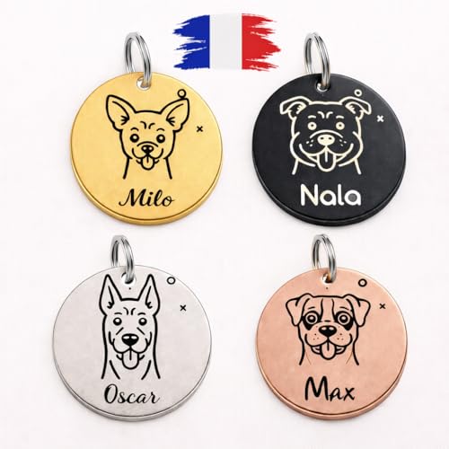 Médaille Chien Personnalisée en Acier Inoxydable – Gravure Nom & Adresse – Plaque d’Identification pour Chien -Plusieurs races de chiens au choix – 4...