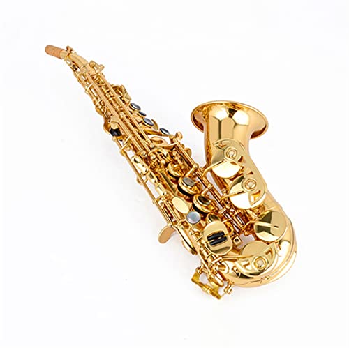 TSTS B-Flat Saxophone lp y퉉t SҌ ^JTbNX tLbg