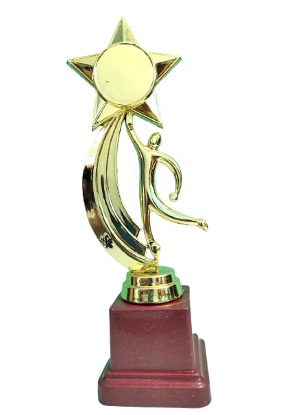 Metallic Fiber Rising Star Golden Winning Trophy/Award for Winners (18 Centimeters)-picture-26