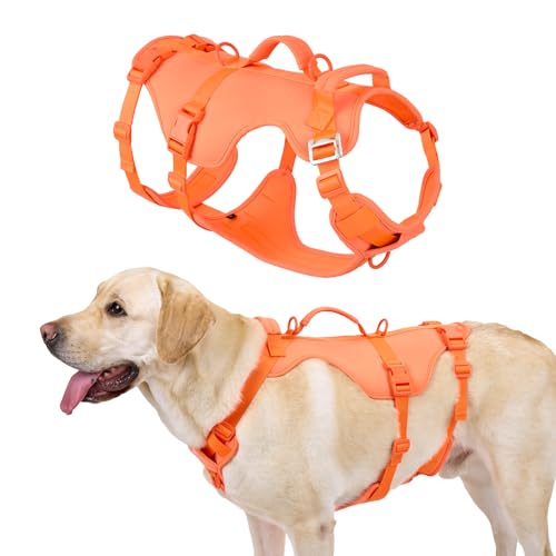 Arblina Sicherheitsgeschirr Hund, Hundegeschirr für Mittelgroße/Große Hunde, Lebendig Farbiges Hundegeschirr mit Griff&Vorderem Clip, Leichte Geschirr Hund mit Mehreren Verstellbaren Punkten, Orange S
