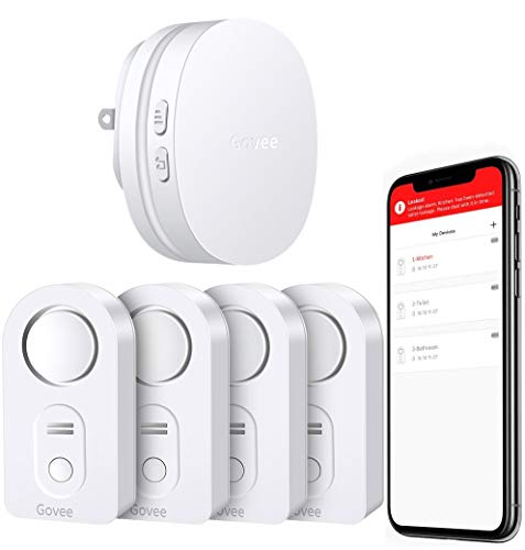 Govee Driveway Alarm