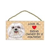 Maltese (puppy cut/short hair cut) (Love is being owned by) Door Sign 5''x10''