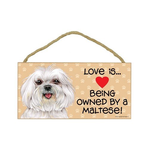 Maltese (puppy cut/short hair cut) (Love is being owned by) Door Sign 5''x10''