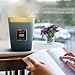 HomeLights Highly Scented Soy Candles Big 33.3 oz for Home. 3 Cotton Wicks, Smokeless Long Lasting 70 hrs in Balsam & Cedar. 5x6, Great Gift for Women & Men