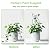4 Packs 19 in Heighten Trellis for Climbing Plants Indoor, HENABLE Small Garden Metal Trellis for Potted Plants Outdoor for Vine Ivy Flower Plant Support, 4 Different Black Iron Patterns