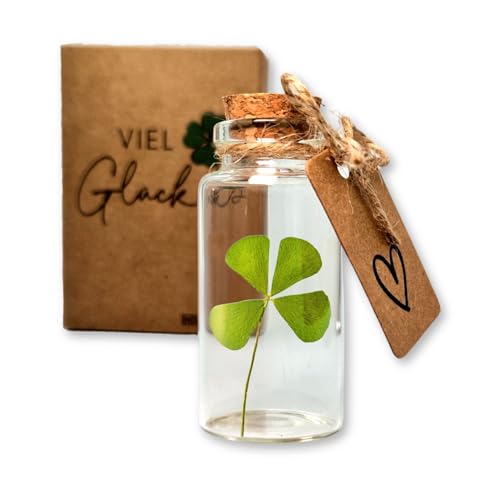 HOLM CRAFT Glücksbringer Kleeblatt Naturgrün– Viel Glück Geschenk für Prüfung, Neuer Job & Genesung – Echtes vierblättriges Kleeblatt im Glas – Glücksbringer Prüfung Geschenk