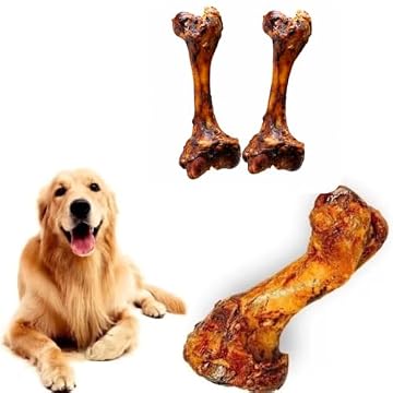 Fêmur Bovino Defumado Natural para Cães
