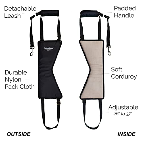 Gingerlead Dog Sling Hip Lift Harness, Tall Male Fits Tall, Lean Dogs Like Greyhounds Or Great Danes. Padded Support Aid To Help Pets Up Or Down Stairs, In Or Out Of Vehicles. Made In U.s.a. #TOP2