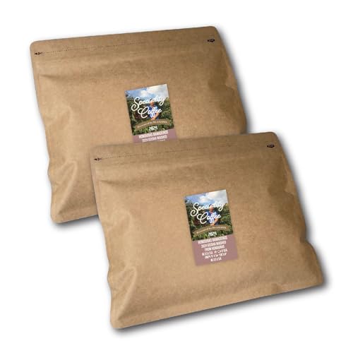 Dr-i-gama XyVeB QCVR[q[  zWX o[jfX QCV EHbVh 2024 (F150I2300t`[XgF[u芹k̒[[Ɖ؂₩ŃtbVȃQCV