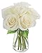 Serena White Roses: 6 White Roses with Vase - by KaBloom