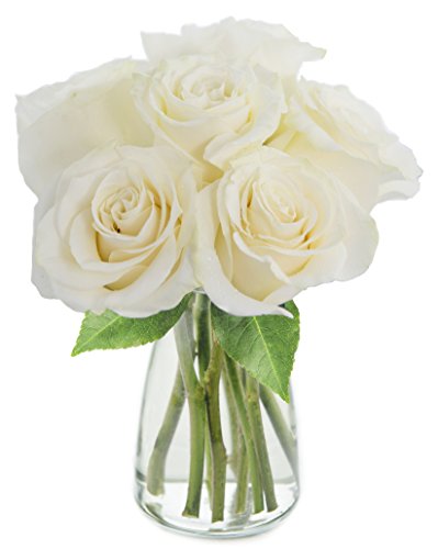 KaBloom PRIME NEXT DAY DELIVERY - Bouquet of 6 Fresh cut White Roses with Vase .Gift for Birthday, Sympathy, Anniversary, Get Well, Thank You, Valentine, Mother’s Day Fresh Flowers