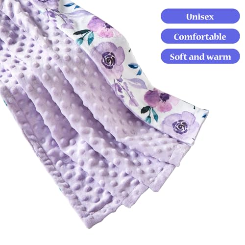 Image of Baby Nursery Bed Blankets Ultra Soft Double Layer Mini Blanket Minky Blanket Receiving Blankets Shower Gifts(30 inch*40 inch,Roses)