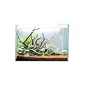 Swell Glass Aquarium Aqua Oasis, Crystal-Clear, 10.8l - 63l Capacity, Customisable Design, for Freshwater and Marine Fish, (30cm)