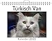 Produktbild Türkisch Van - (Wandkalender 2025, Kalender DIN A4 quer, Monatskalender im Querformat mit Kalendarium, das perfekte Geschenk)