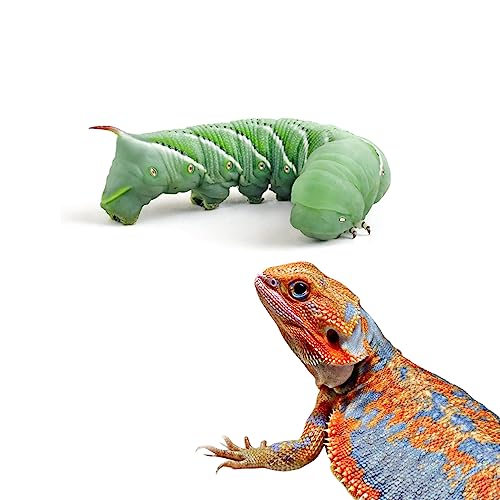 Live Hornworms 24-30+ Counts Per Cup - Super Variety Meal Worms and Live Insects Reptile Treat for Bearded Dragons, Chameleons, Geckos, and Other Reptiles