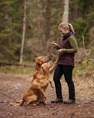 Pinewood Damen Hundesport Windblocker Weste - Windbreaker Weste Hundesport - mit vielen praktischen Taschen, abnehmbarer Kapuze und 2-Wege-Reißverschluss - langlebig
