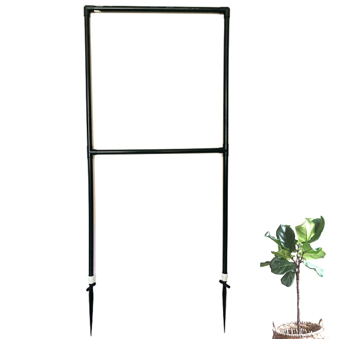 Invelligen Garden Trellis (5 Feet * 2 Feet) Balcony Privacy Screen with Creeper Support Plant Support Poles and Stakes Pack of 1 (B097LKBWBV) Amazon Price History, Amazon Price Tracker