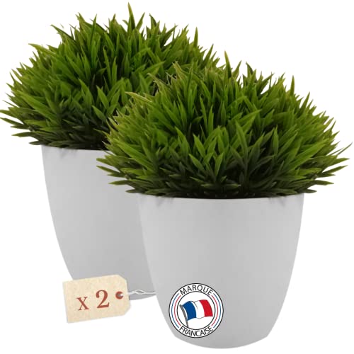 Deux Plantes herbes artificielles en Pots Realiste, 20cmx15cm plantes artificielles interieur, Aesthetic Room Decor, Decoration Interieur et Exterieur, Cuisine et Bureau, Decoration Maison, Chambre Cover