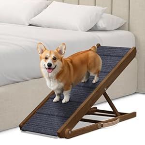 Adjustable Dog Ramp for Bed – Foldable Wooden Ramp for Dogs to Get on Bed, Couch, or Car with 13.4″ Wide Walking Space (Walnut Wood with Gray Carpet, Medium)