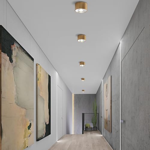 Image of Sedelan Mini Brass Ceiling Spot Light, 4.33 Inch Small Flush Mount Fixture, 7W 4500K LED Cylinder Lamp, Modern Indoor Accent Light for Closet Hallway Staircase Bedroom