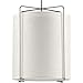 Spatial Collection 4-Light Matte Black Global Pendant Light