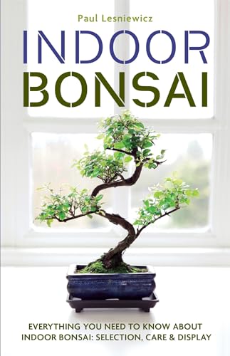 Indoor Bonsai