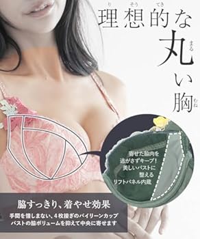 下着・アンダーウェア mio Amazon | [フランデランジェリー] ブラジャー ブラ レディース