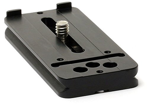 Amazon.com: Wimberley P-10 Lens Plate - Arca-Swiss Style - Made in