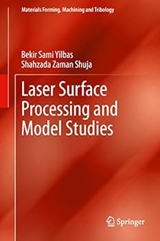 Paperback Laser Surface Processing and Model Studies Book
