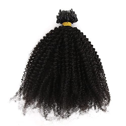 Zigzag Hair Afro Kinky Curly Micro Rings Loop Hair Extensions 1G/Strand 100G 4B 4C Micro Link Extensions Hair Brazilian Virgin Human Hair For Black Women (16Inch, 4B 4C) #TOP2