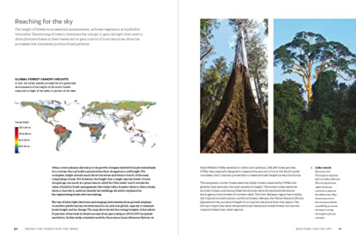 The World Atlas Of Trees And Forests: Exploring Earth's Forest Ecosystems #TOP3