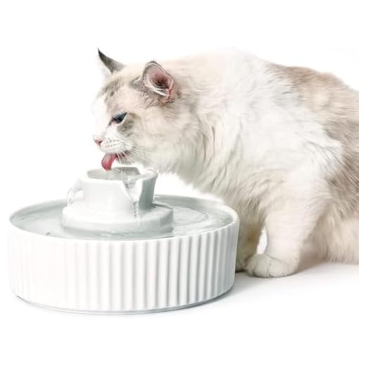 2.1L Ceramic Cat Water Fountain for Cats and Dogs-360° Ceramic Pet Fountain-70 Oz Large Water Capacity- Whisper-Quiet Water Flow-Great for Shy or Timid Pets- Fresh-Filtered Water
