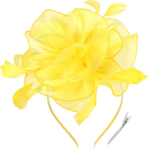 Image of DRESHOW Fascinators Hat Tea Party Headwear Ribbons Feathers on a Headband and a Clip for Women
