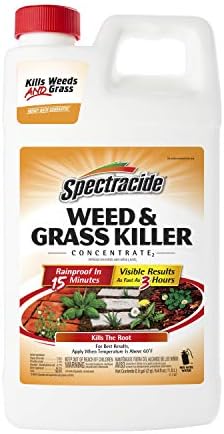 Spectracide Weed & Grass Killer Concentrate for Driveways & Walkways, 64 Oz