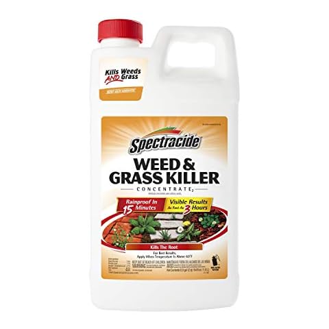Spectracide Weed & Grass Killer Concentrate Cover