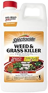 Spectracide Weed & Grass Killer Concentrate, 64 fl oz