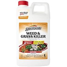 Spectracide Weed & Grass Killer Concentrate, 64-Ounce, 6 Pack