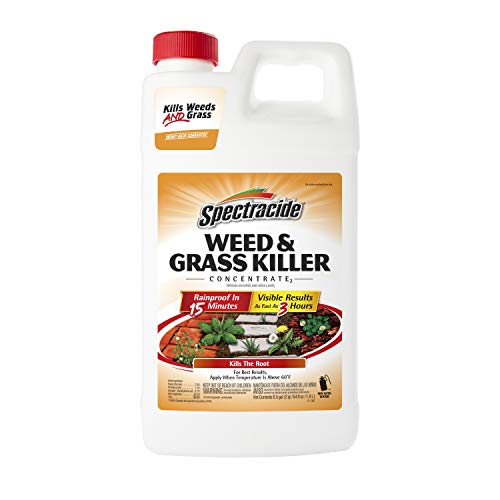 Spectracide Weed & Grass Killer Concentrate for Driveways & Walkways, 64 Oz