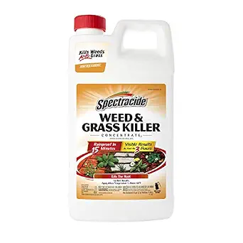 Spectracide Weed & Grass Killer Concentrate for Driveways & Walkways, 64 Oz