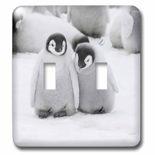 Interrupteur pingouins empereurs double a bascule de decoration 3dRose - 2