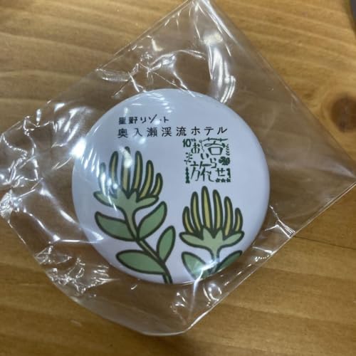 限定品星野リゾート 奥入瀬渓流ホテル 缶バッジ