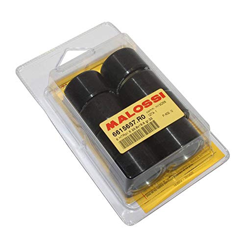 Galet MALOSSI 29,8x19,8 la haute performance pour votre BMW 650 GT