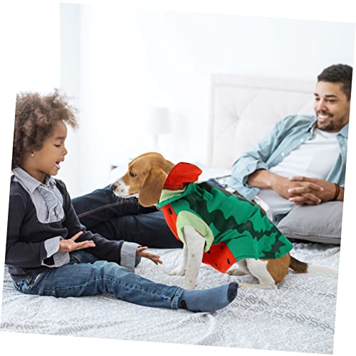 Disfraz Ligero para Perros y Gatos Tamaño XL Sandía miniatura 2
