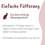 cdVet Naturprodukte feliTATZ Bronchial Liquid Ergänzungsfuttermittel für Katzen Atemwege 50ml