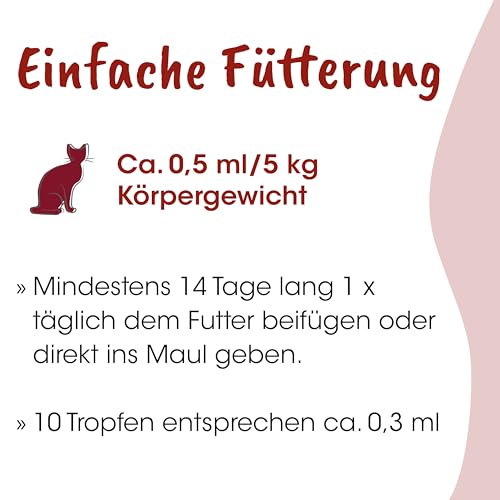 cdVet Naturprodukte feliTATZ Bronchial Liquid Ergänzungsfuttermittel für Katzen Atemwege 50ml