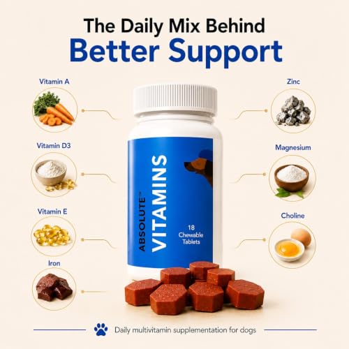 Image of Drools Absolute Dog Supplement Tablets 175g (50 Pieces) Jar | Chicken Flavour | Supports Growth | Maintains Healthy Body Condition | Aids Faster Recovery