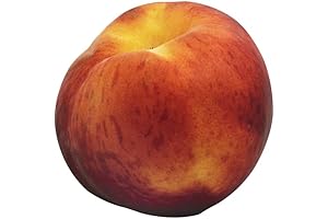 Peach & Pebble, Peach