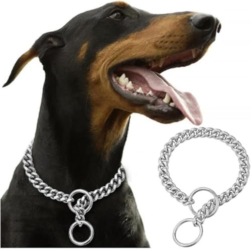 SSZY犬の首輪ファッションゴールド犬チェーン首輪ステンレス鋼チェーン小中大強力なペットチョーカー大型犬トレーニングショー革犬の (25cm,シルバー)